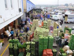 İstanbul’a Gelen Meyve ve Sebze Tonajı