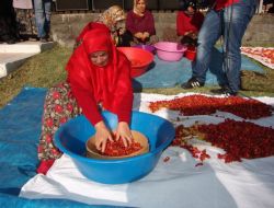 Kocasinan Şenliklere Hazırlanıyor