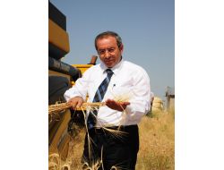 Rektör Battal, Uygulama Merkezinde Arpa Hasadına Katıldı