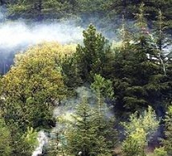 Ankara'da orman alanlarına girişler yasak
