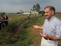 Karasineksiz Yaz İçin Gübreleri Toprakla Örtün