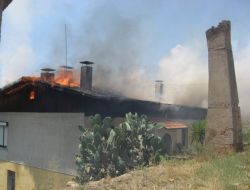 Aydın'da Korkutan Yangın