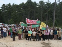 Ağaç Kesimini Önlemek İsteyen Köylüler, Kendilerini Ağaçlara Zincirledi