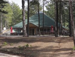 KIZILALAN İHALEYE ÇIKARILIYOR