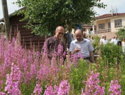 Arap Turizm Örgütü Birlik Başkanı Al Fihait: Bursa'ya Aşık Oldum