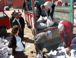 Başkale'de 4 Bin Aileye Birer Ton Kömür Yardımı Yapılacak