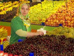 Yerli Kiraz Kapışılıyor