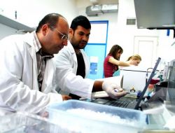 Zeytin Sineğiyle Mücadele Başladı