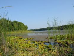 Longoz Ormanları Doğa Severleri Bekliyor
