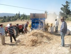 Gülnar'da Buğday Hasadı Başladı