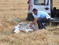 YOLCU TAŞIYAN ARAÇ TAKLA ATTI