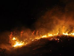 Fethiye’de Orman Yangını