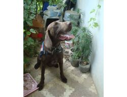 Balıkesir'de Uyuşturucu Operasyonu