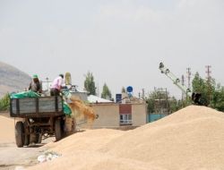 Düşük Fiyat Çiftçileri Beklemeye Yöneltiyor