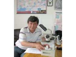 Ilgaz Dağı'nda Yeni Bir Böcek Türü Bulundu