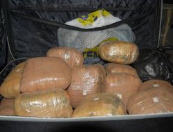 Esrar Operasyonundan İki Astsubay Çıktı!