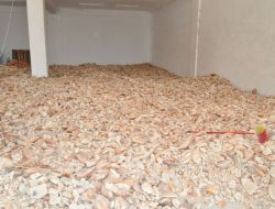 Afrika'da Kıtlık, Türkiye'de Hergeçen Gün Artan Bayat Ekmek Yığını