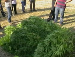 Karabük'te Uyuşturucu Operasyonu