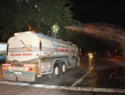 Sakarya'da Yeşil Alanlar, Birinci Sınıf İçme Suyu İle Sulanıyor