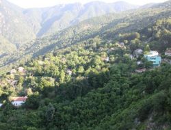 Zeynileri'n Köy Olma İsteği İl Genel Meclisi'nde Kabul Edildi