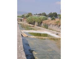 Meles'deki Kirliliğe Ve Pis Kokuya Havuz Çözümü