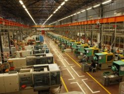 Viko İran’da Yüzde 20 Büyüyecek!..