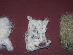 Klima Etkisi Gösteren Isırgan Otu Kıymete Bindi, Kumaşı Dünya Pazarına Çıkacak