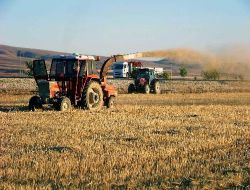 Anızları Yakmamak İçin Saman Yapıp Havaya Savurdu