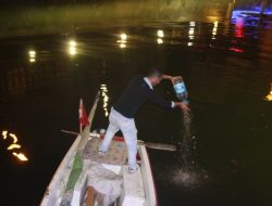 Yalova Deresi'nde Balık Ölümleri
