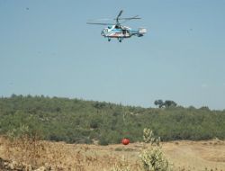 Osmaniye’de 2 Hektar Ormanlık Alan Yandı