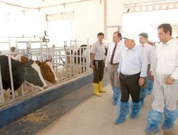 Baklan’a Abd Ve Avrupa’dan Daha Modern Hayvancılık Tesisi Kuruldu