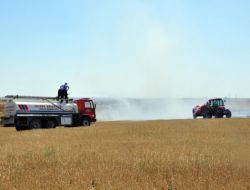 Edirne’de Anız Yangını: 100 Dönümlük Alan Yandı