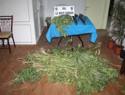 KULA'DA UYUŞTURUCU OPERASYONU