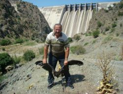 Ayağı Poşete Dolanan Karaleylekleri Vatandaşlar Kurtardı