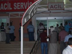 Suruç'ta Haraç İnfazı: 2 Kardeş Öldürüldü