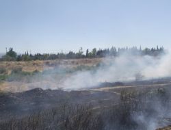 Kıyı Yangını Mahalleliyi Korkuttu