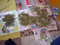 ESRARLA YAKALANAN 5 KİŞİ TUTUKLANDI