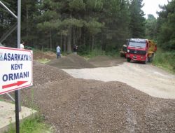 Ünye’nin Gözdesi, Asarkaya Kent Ormanı’nın Yolları Asfaltlanıyor