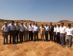 Çal’da Tarımsal Biyoteknoloji Enstitüsü Kurulacak