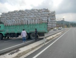 Yem Yüklü Kamyona Gabari Engeli