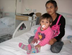 Keçi, İki Yaşındaki Çocuğu Hastanelik Etti