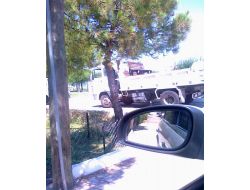 Chp’li Başkan, Yazlığının Yeşil Alan Düzenlemesini Belediyeye Yaptırıyor