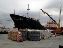 Gazze Gemisi Yardım Malzemesi Götürecek!