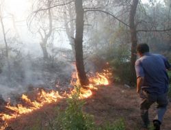 Keşan’da Orman Yangını Söndürüldü