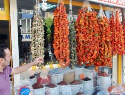 Türkiye'nin Dördüncü Büyük Ovasına Kuru Sebze Gaziantep'ten Geliyor