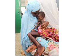 Şanlıurfa'dan Somali'ye 25 Ton Un