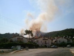Marmaris’teki Orman Yangını