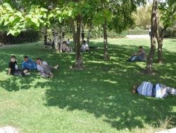 Sıcaktan Bunalan Vatandaşlar Parkta Serinliyor