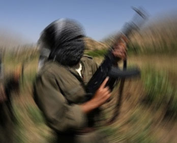 PKK Karayılan için ne dedi?