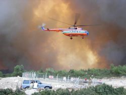 İzmir Ve Manisa’da Bu Yıl Bin 164 Yangına Müdahale Edildi